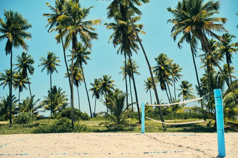 Quadra de vôlei de praia na areia entre coqueiros